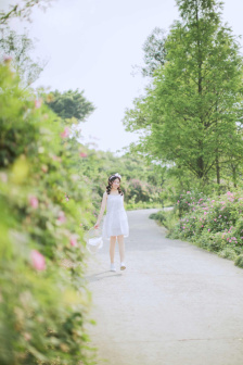 女人的屁股